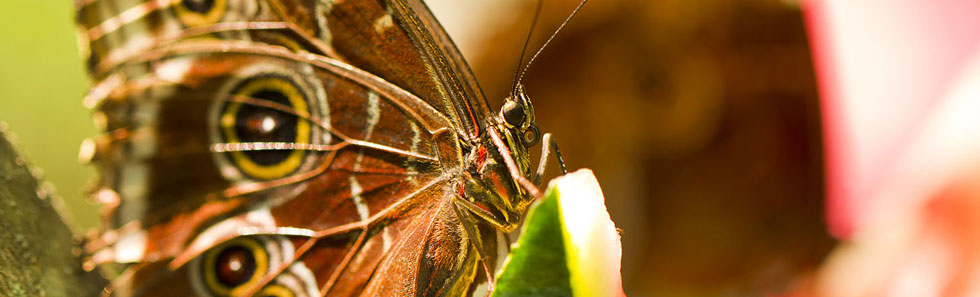 人事管理软件的接码短信社区平台